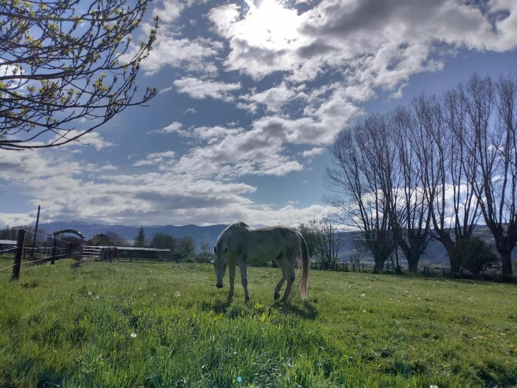 Ca L'Andreu Villa Ventola Luaran gambar