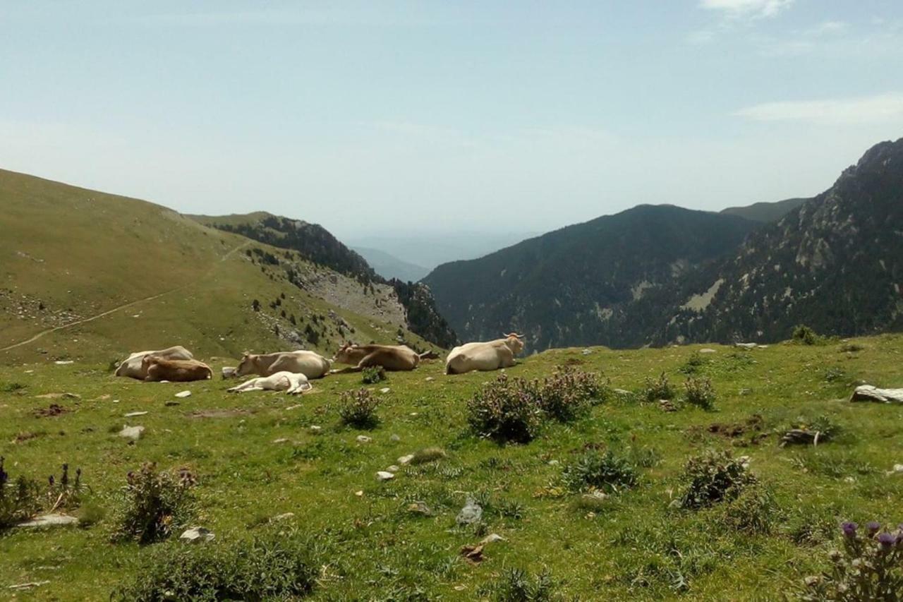 Ca L'Andreu Villa Ventola Luaran gambar
